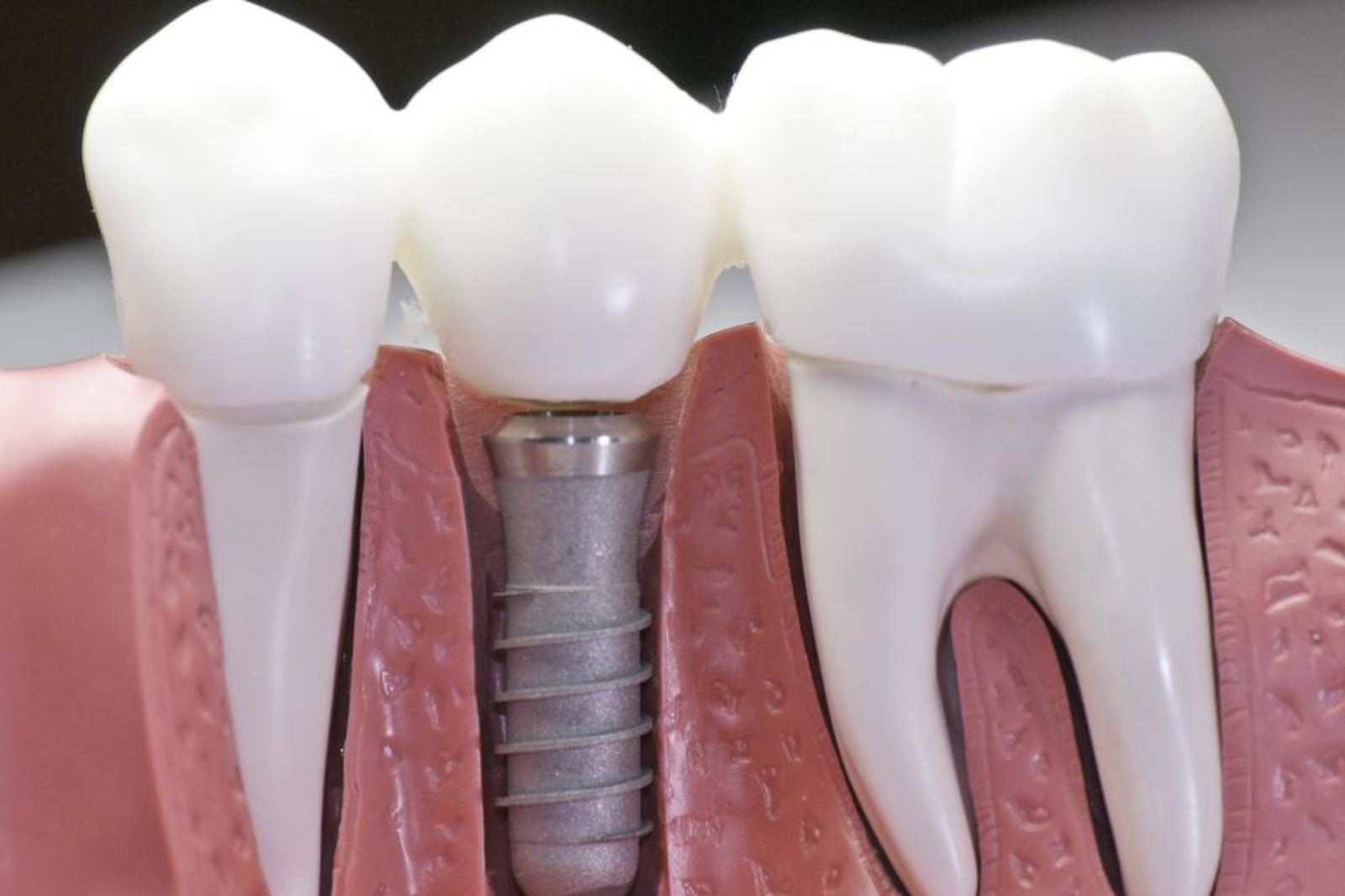 Untitled design (69)